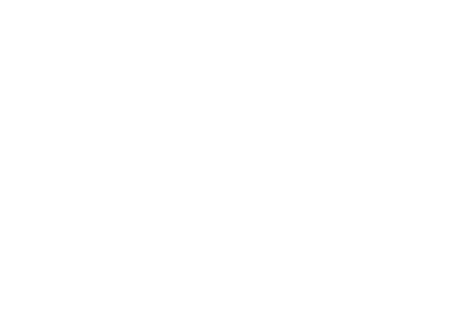 FSF — Forever Lasting Financial Freedom